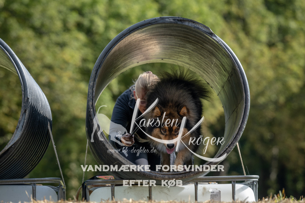 1027_ZZ92098 | kk-dogfotos