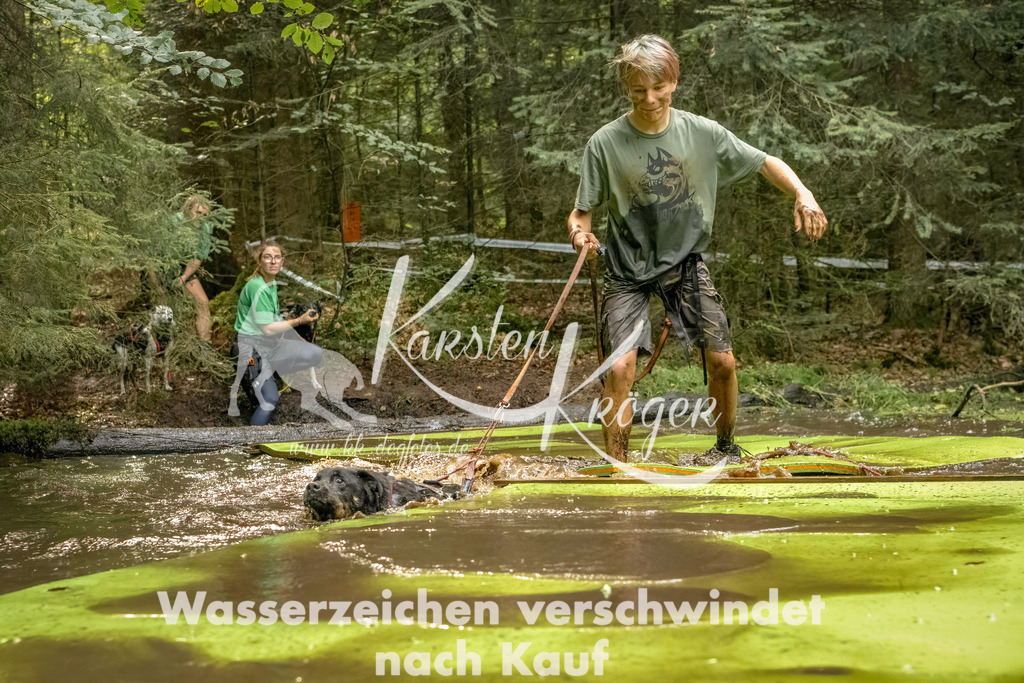1410_ZZ91305-Bearbeitet | kk-dogfotos
