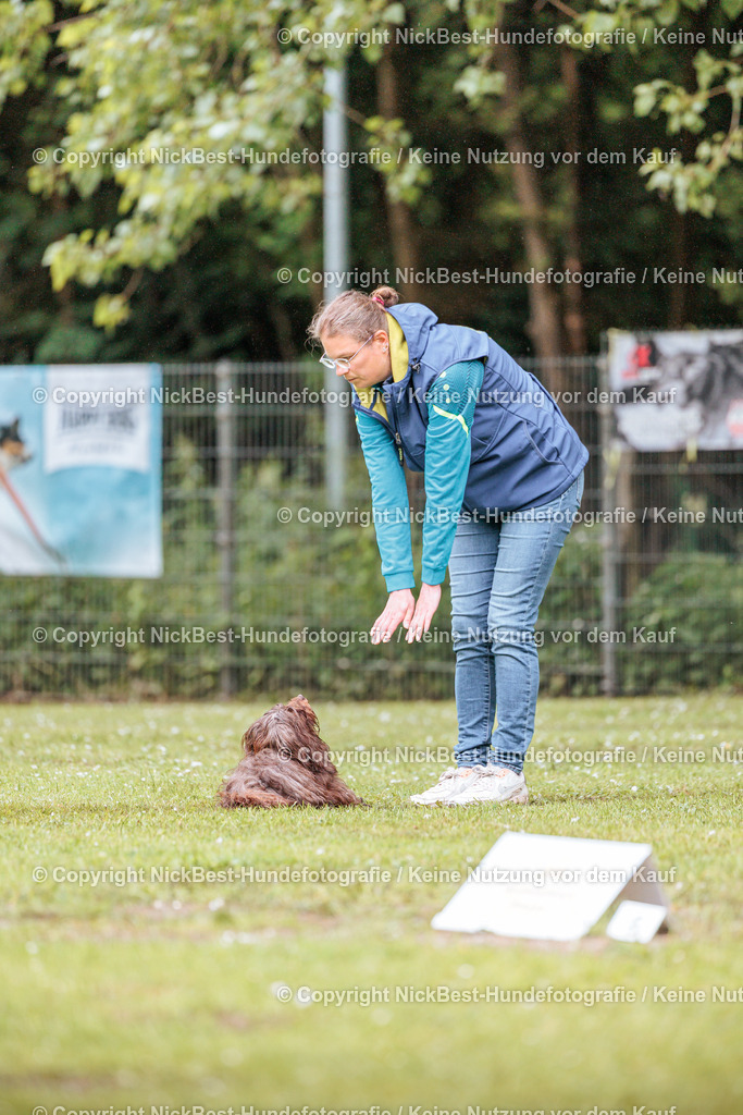 RO-Blumenthal-2026-Nickbest-Hundefotografie-0309 | Dein Hund! Dein Moment! Deine Erinnerungen! Hundefotografie in Bremen Blumenthal. Ich fange die besonderen Momente deines Vierbeiners ein – ob Indoor mit Blitzanlage oder in der freien Natur. Sicher dir dein Moment und dein Termin für eure Erinnerungen.
