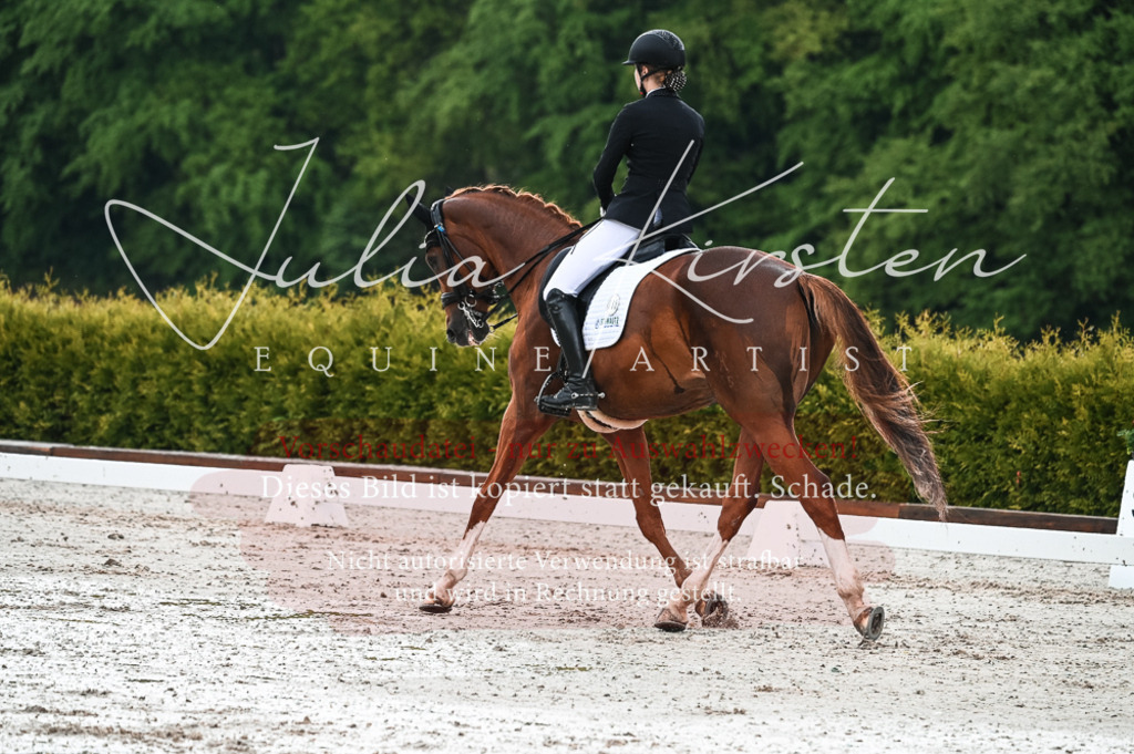 DSC_4282 | Pferde- und Turnierfotografie in Westsachsen. Pferdeportraits, Auftragszeichnungen und intuitive Kunst.