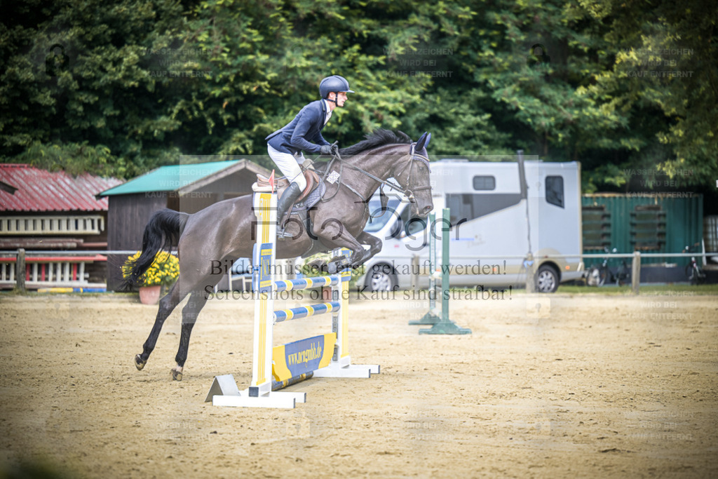 DOS_5536 | Entdecke hochwertige Reitturnierfotos von Foto Oger. Professionell, emotional und authentisch – jetzt Lieblingsmomente im Shop bestellen. - Realisiert mit Pictrs.com