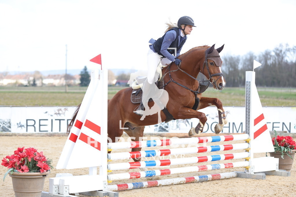 0P6A7164 | Willkommen bei Brunnmayr - Design & Fotografie – Ihrem Spezialisten für Reitturniere und Pferdeveranstaltungen in Oberösterreich, Salzburg und Bayern! Seit über 17 Jahren sind wir leidenschaftlich dabei.