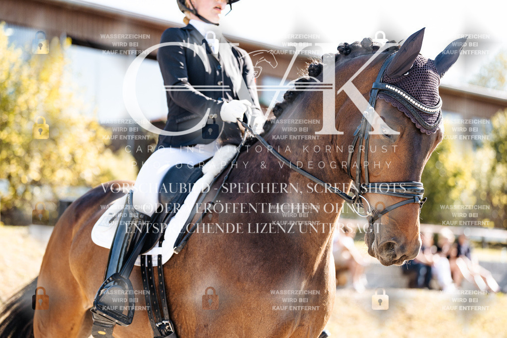 CK905673 | Turnierfotografie Pferdefotografie Trier Rheinland-Pfalz Pferdesport Reitsport Tierfotografie Sportfotografie Pferdevideo Pferdevideografie Equestrianvideography equestrianphotography  - Realisiert mit Pictrs.com