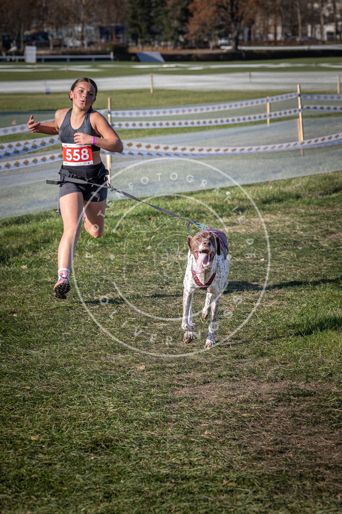 CaniXpix_0L8A7773 | Hundefotografie, Tierfotograf, Pfotenfotografie, Fotoshooting Hund, Hunde Portrait, Hundesport, Hundeportraits, Heideshooting, Hunde, Sportfotograf, Hundefotograf, Turnierhundsport, THS,  - Realisiert mit Pictrs.com