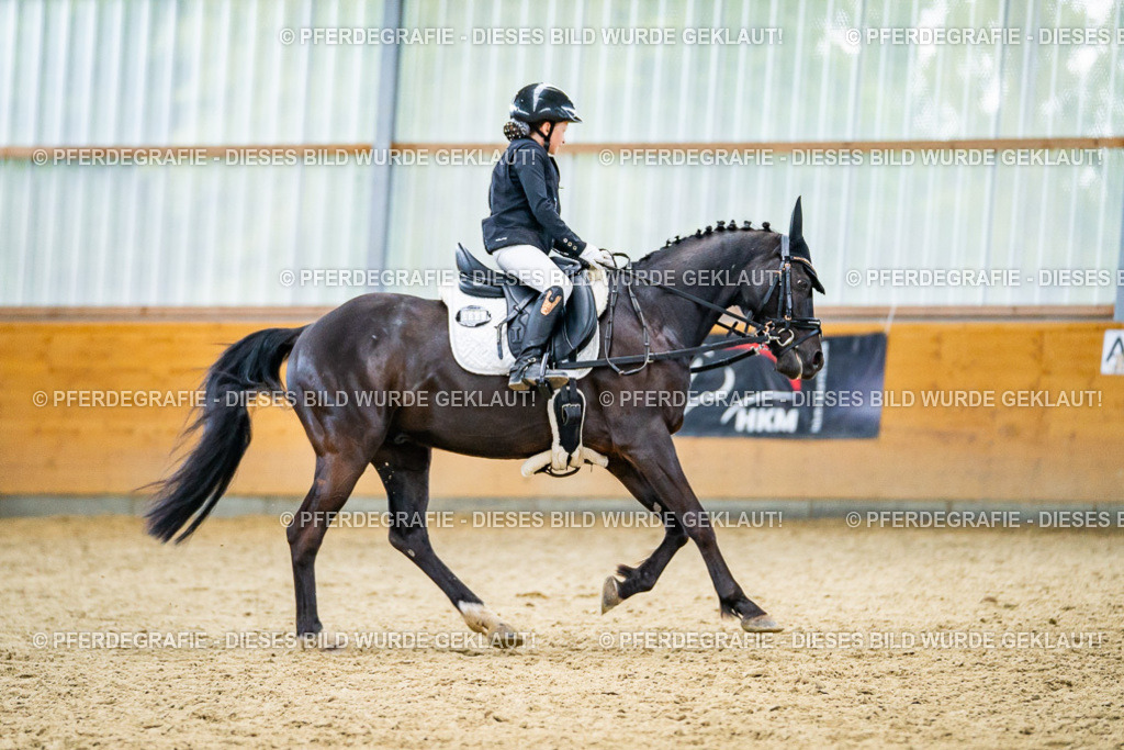 DSC04751 | Pferdegrafie