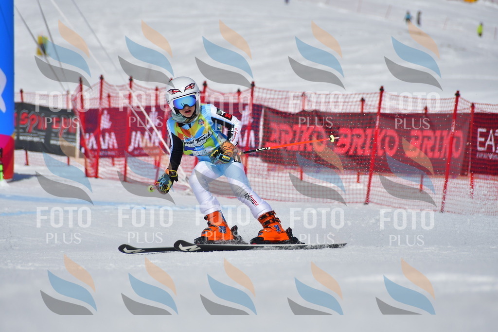 _DSC7793 | holidayphoto