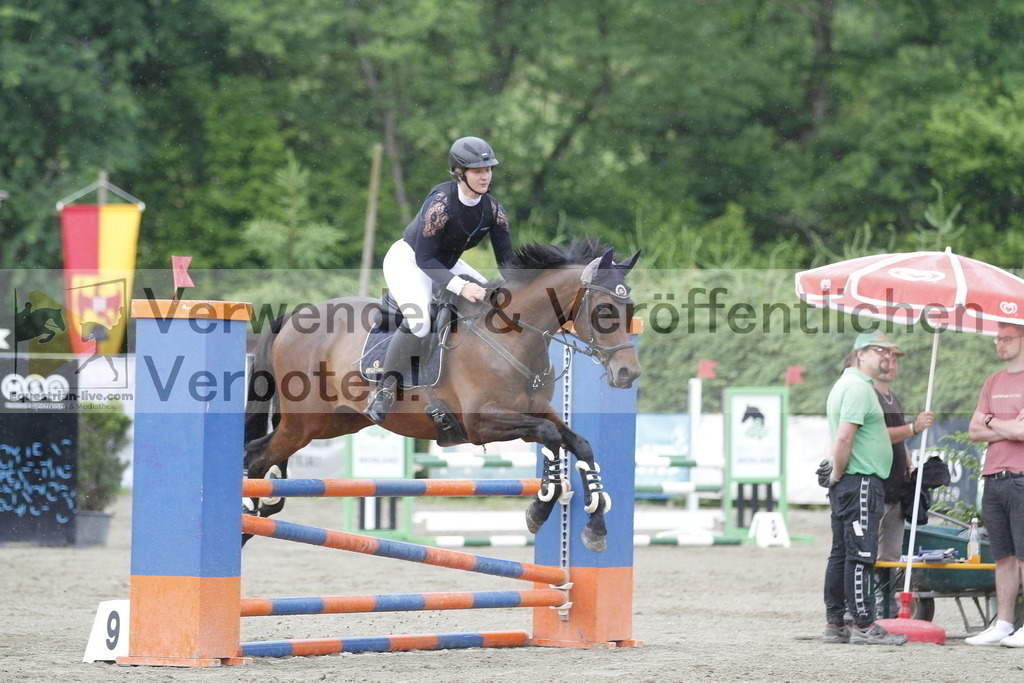 _MG_6717 | equestrian-live-com