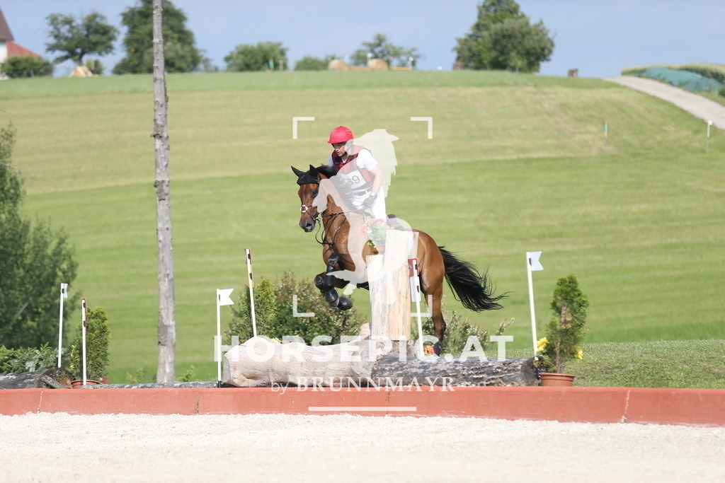 DL2Q3121 | Willkommen bei Brunnmayr - Design & Fotografie – Ihrem Spezialisten für Reitturniere und Pferdeveranstaltungen in Oberösterreich, Salzburg und Bayern! Seit über 17 Jahren sind wir leidenschaftlich dabei.