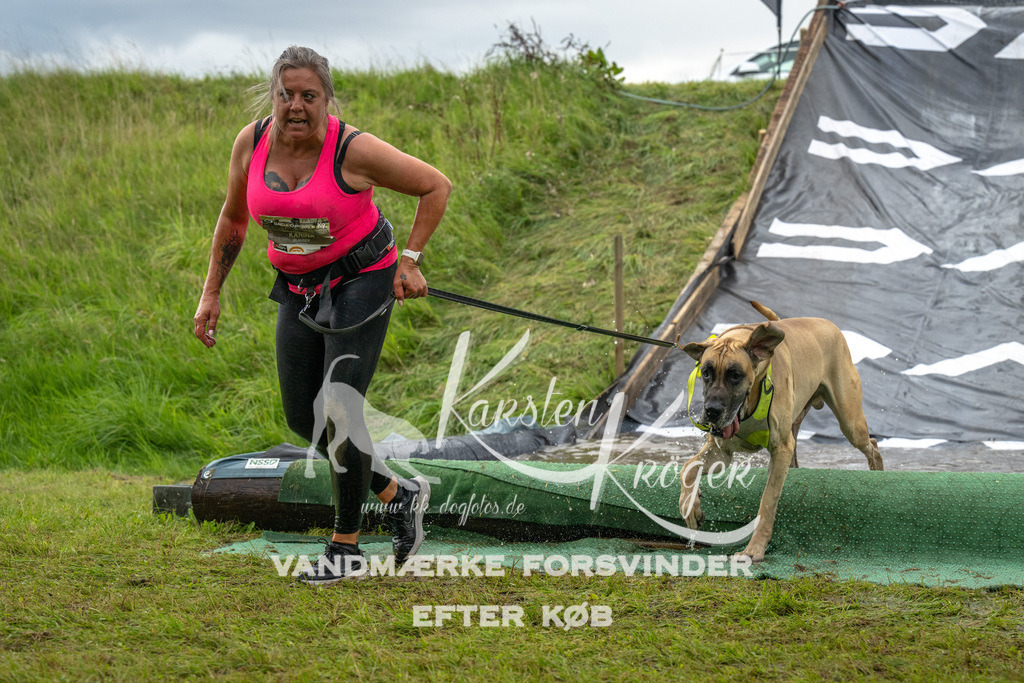 1606_ZZ92338 | kk-dogfotos