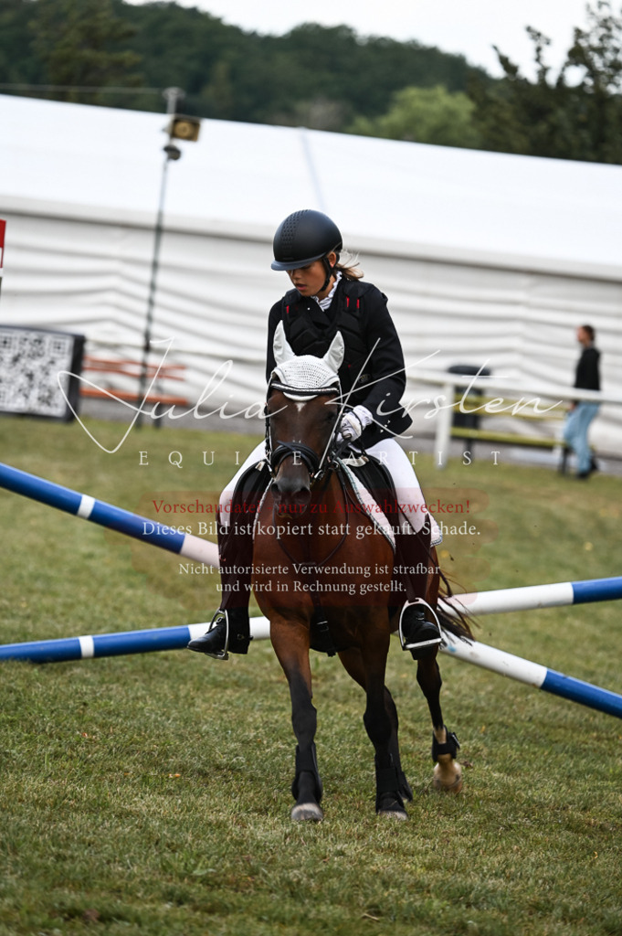 DSC_5711 | Pferde- und Turnierfotografie in Westsachsen. Pferdeportraits, Auftragszeichnungen und intuitive Kunst.