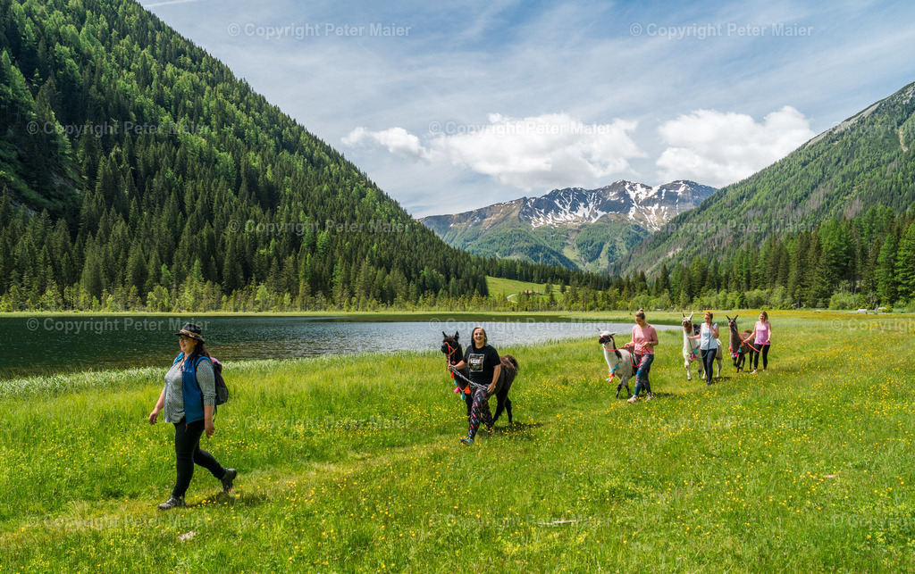 Auszeit_auf_Kärntnerisch_2024-748 | piet_flosse