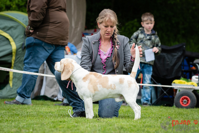 Clubsiegershow BCS  | Clubsiegershow BCS in Villmergen. 14.05.2023 Foto: Leo Wyden