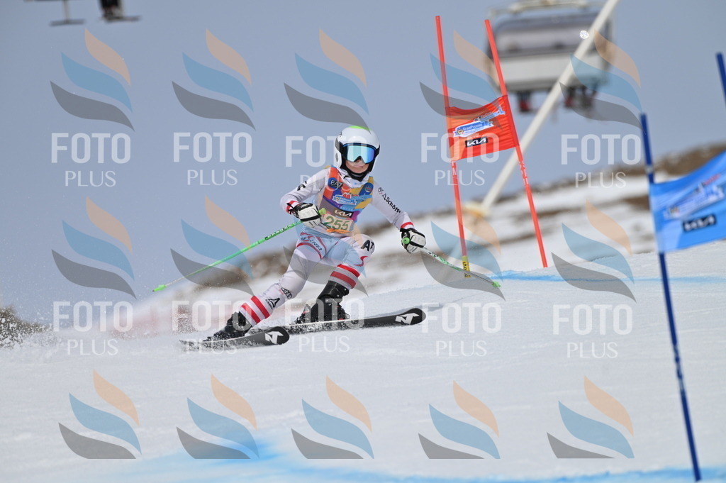 BGV_5051 | holidayphoto