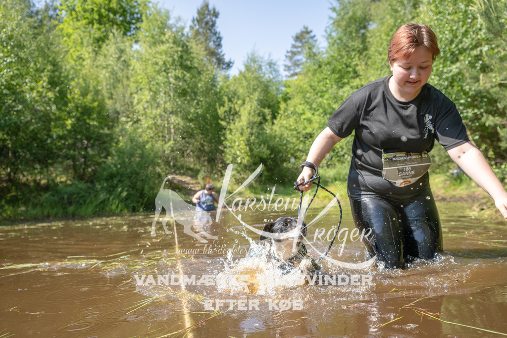1527DKK993367 | kk-dogfotos