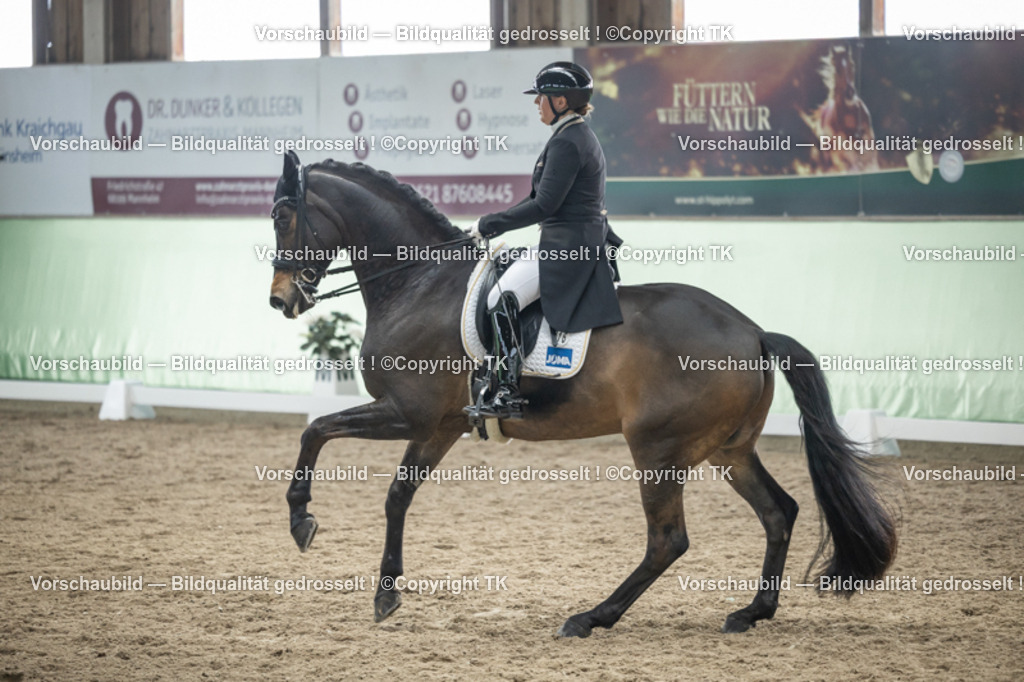 _D5A6088 | Emotionale Pferde- & People-Fotografie rund um Heidelberg, Leimen & Umgebung. Natürliche Fotos von Pferd, Mensch & Familie. Jetzt Termin sichern!