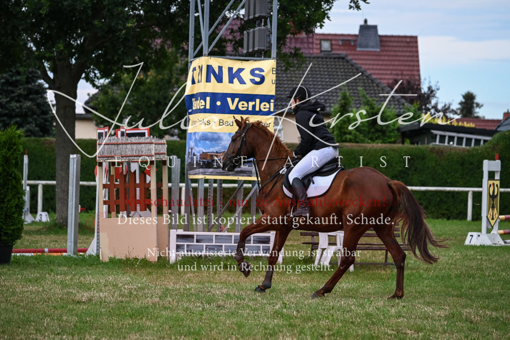 DSC_8377 | Pferde- und Turnierfotografie in Westsachsen. Pferdeportraits, Auftragszeichnungen und intuitive Kunst.