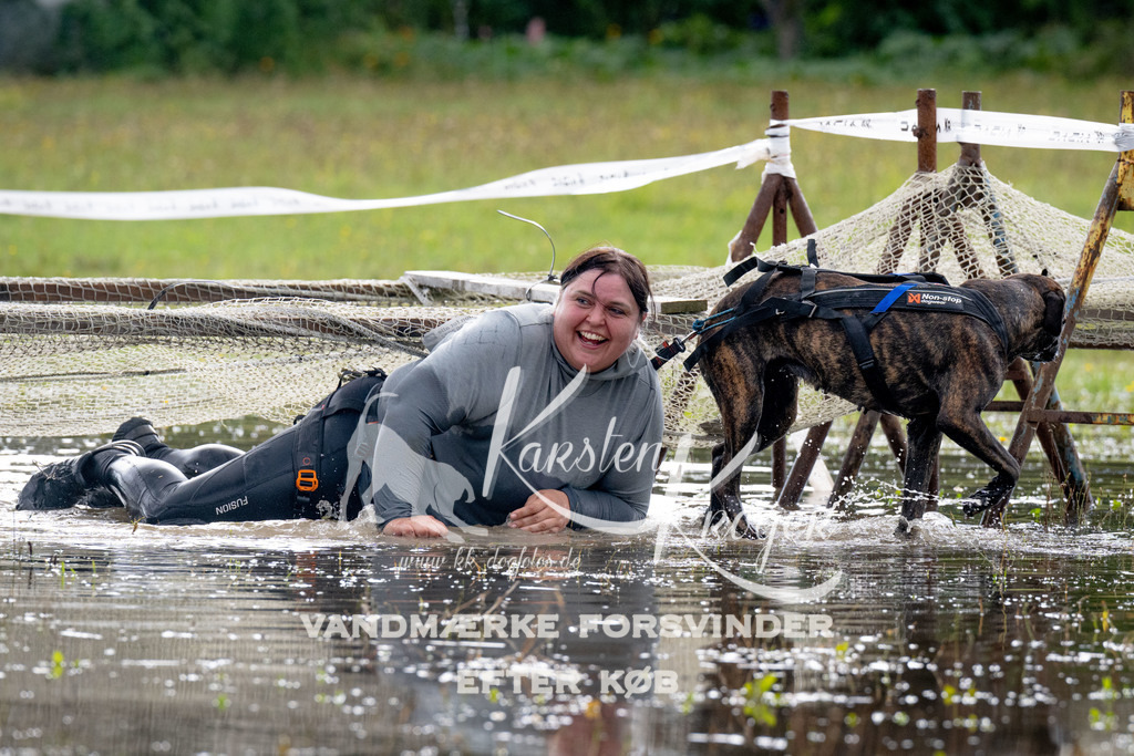 1406_ZZ91127 | kk-dogfotos
