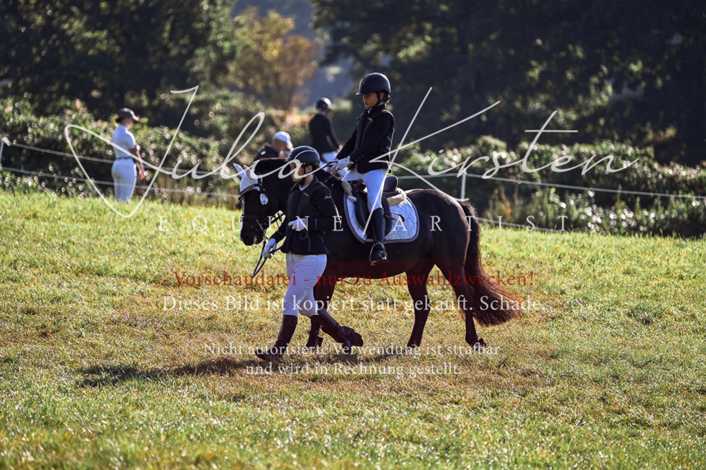 DSC_0376 | Pferde- und Turnierfotografie in Westsachsen. Pferdeportraits, Auftragszeichnungen und intuitive Kunst.