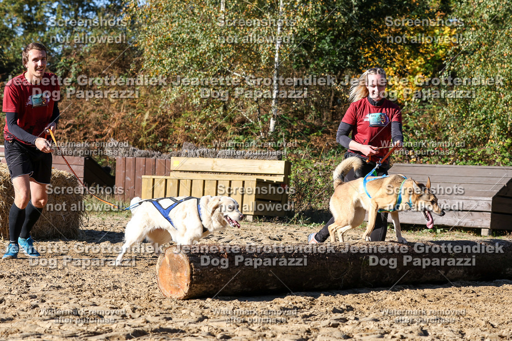 Dog Paparazzi - Strongdog 10-25-2355 | Dog Paparazzi Jeanette Grottendiek Fotografie & Videografie - Realisiert mit Pictrs.com