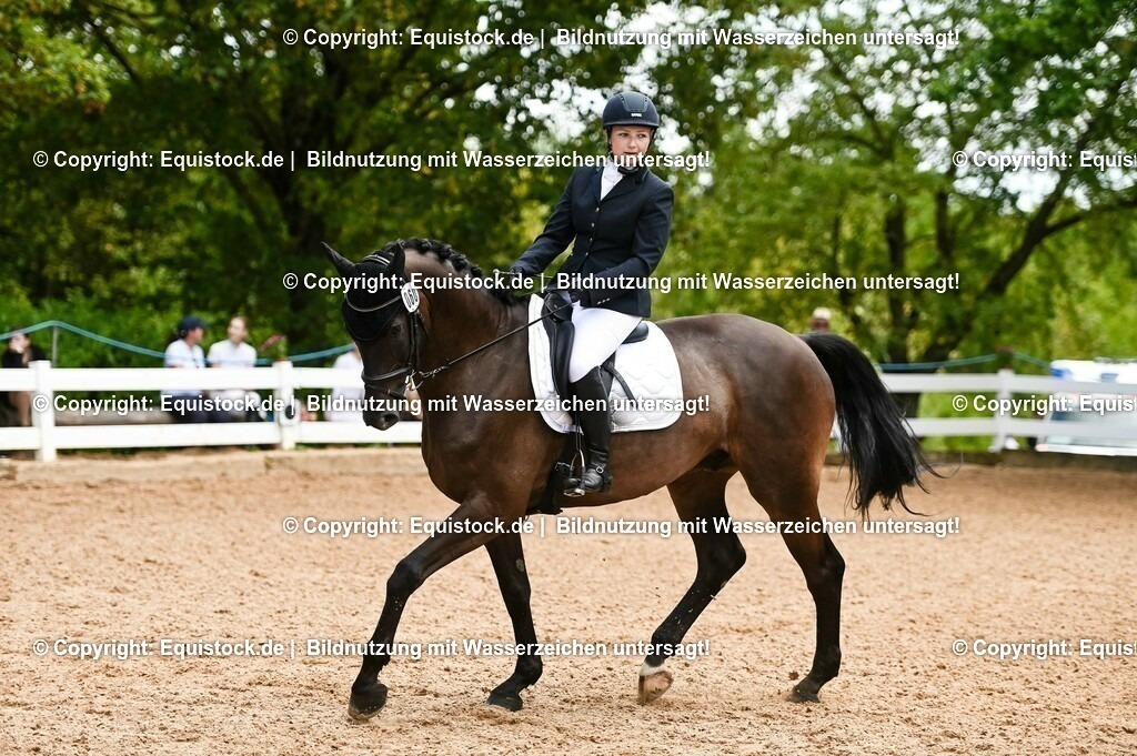 20230716_03_Dressurprfg. Kl.L - Tr._0340 | equistock
