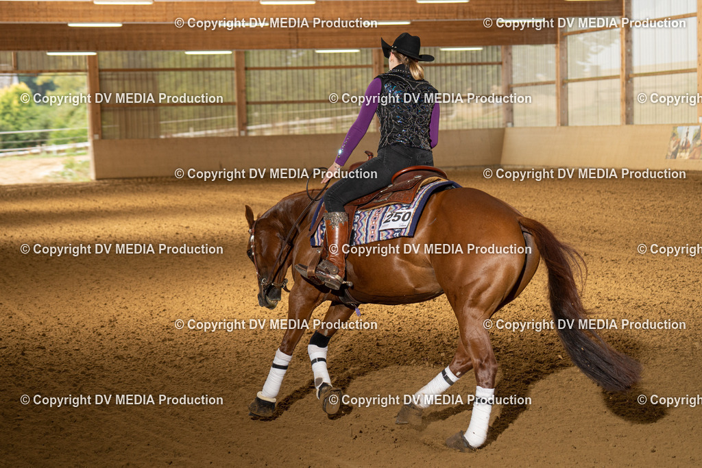 LAU01367 | dv-media-shop - Realisiert mit Pictrs.com