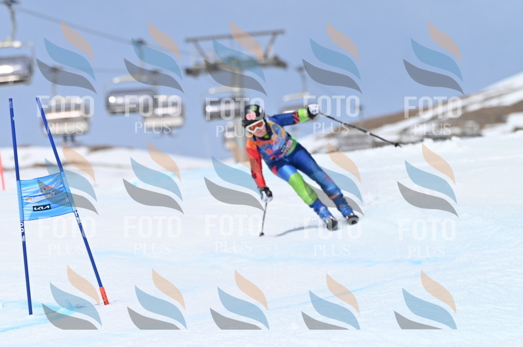 BGV_3870 | holidayphoto