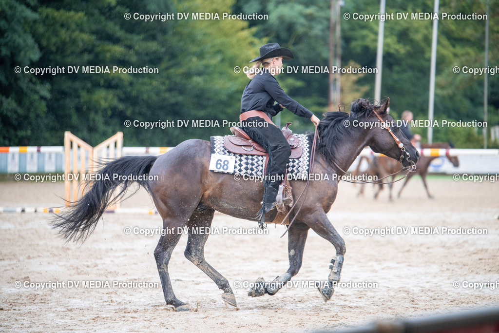 ZS2_4132 | dv-media-shop - Realisiert mit Pictrs.com