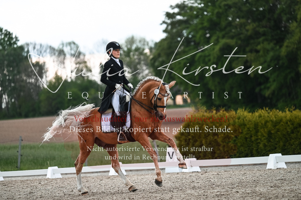 20230514_JK-Röhrsdorf-21-415 | Pferde- und Turnierfotografie in Westsachsen. Pferdeportraits, Auftragszeichnungen und intuitive Kunst.