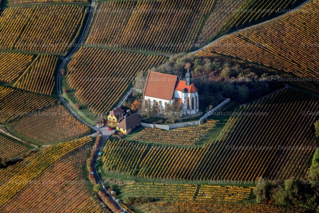 3905400 | Weinbergslandschaft an der Mainschleife bei Escherndorf und Nordheim