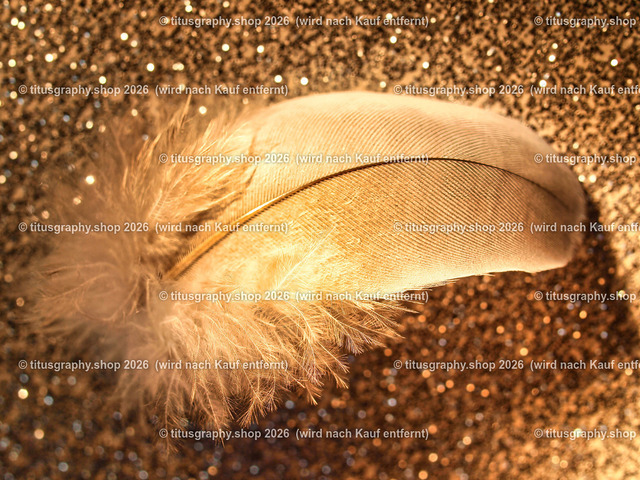 titusgraphy_P2043700-vz-ln | titusgraphy-shop: Geschenkideen mit Qualitätsfotos. titusgraphy-shop: gift ideas with quality photos. titusgraphy-shop: idées cadeaux avec photos de qualité.  - Realisiert mit Pictrs.com