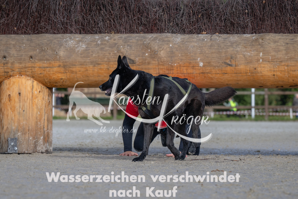 1117-93970 | kk-dogfotos