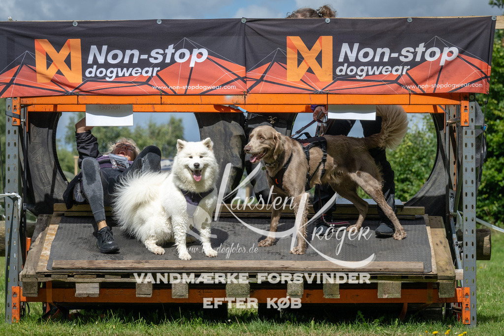 1335_ZZ90578 | kk-dogfotos