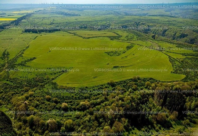 Schleiden240502188DreibornerHochfläche | Luftbild, Waldgebiet und Dreiborner Hochfläche Naturschutzgebiet NSG zwischen Scheuren und Dreiborn, Nationalpark Eifel, Dreiborn, Schleiden, Nordrhein-Westfalen, Deutschland