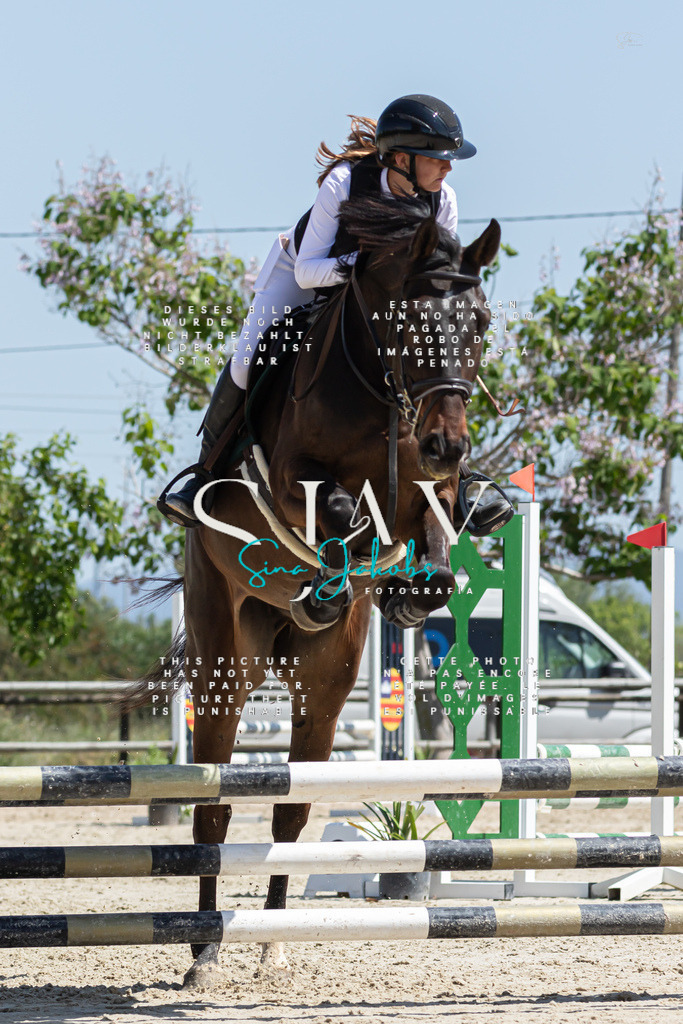 IMG_0558 | s-jay-photography - Realisiert mit Pictrs.com