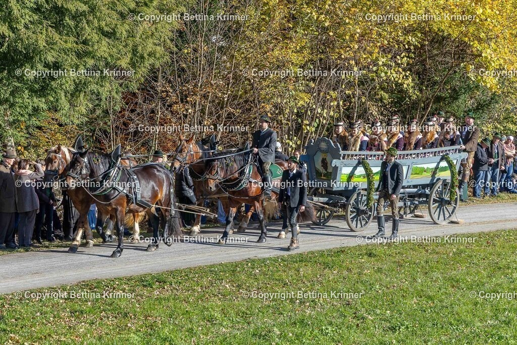 LBT25-498 | foto-bettina-krinner - Realisiert mit Pictrs.com