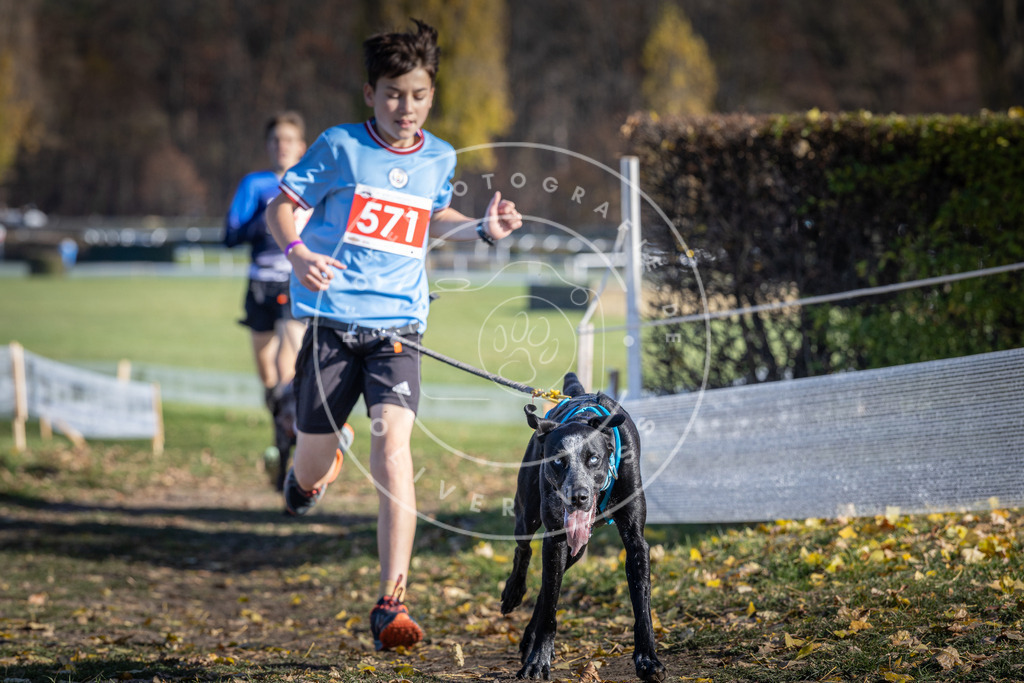 CaniXpix_DV3A8877 | Hundefotografie, Tierfotograf, Pfotenfotografie, Fotoshooting Hund, Hunde Portrait, Hundesport, Hundeportraits, Heideshooting, Hunde, Sportfotograf, Hundefotograf, Turnierhundsport, THS,  - Realisiert mit Pictrs.com