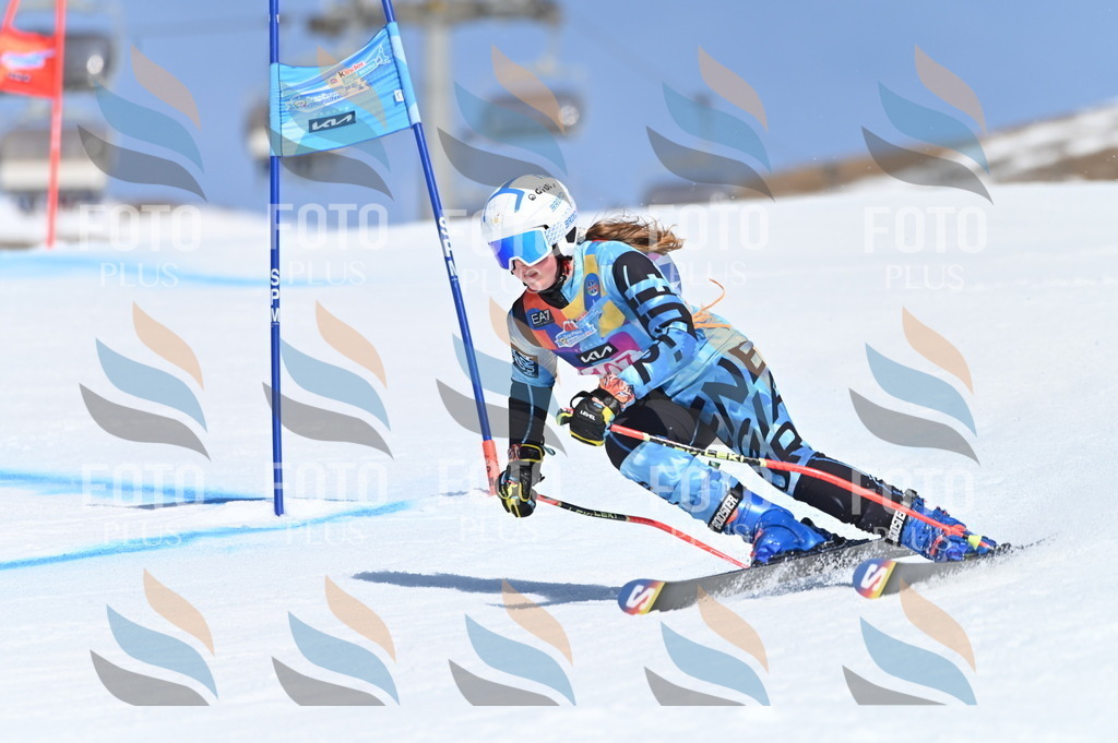 BGV_9586 | holidayphoto