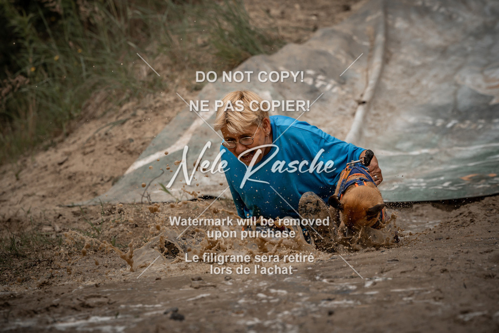 nelerasche_sa1200-1230_95 | nelerasche