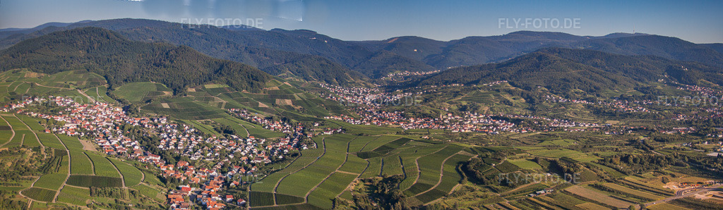 Luftbild: Panorama Perspektive von Weinbergen und Schwarzwald im Ortsteil Altschweier in Bühl im Bundesland Baden-Württemberg in Deutschland. Foto: IMG_53108-Bearbeitet.jpg vom 08.09.2012 durch Werner Riehm/FLY-FOTO.deAuflösung des Originals: 9337 x 2716 px