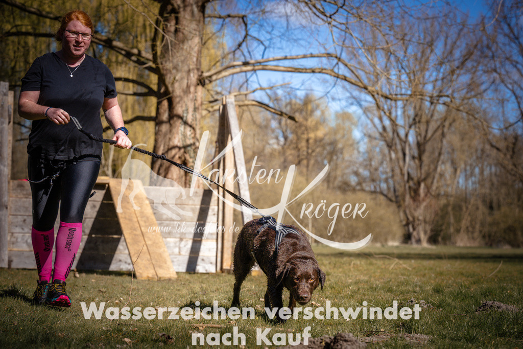 1008_ZZ97187 | kk-dogfotos