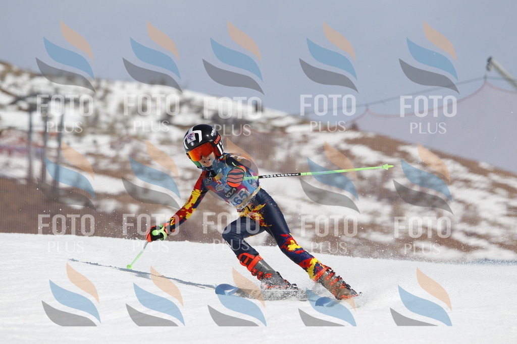 _U3G1436 | holidayphoto