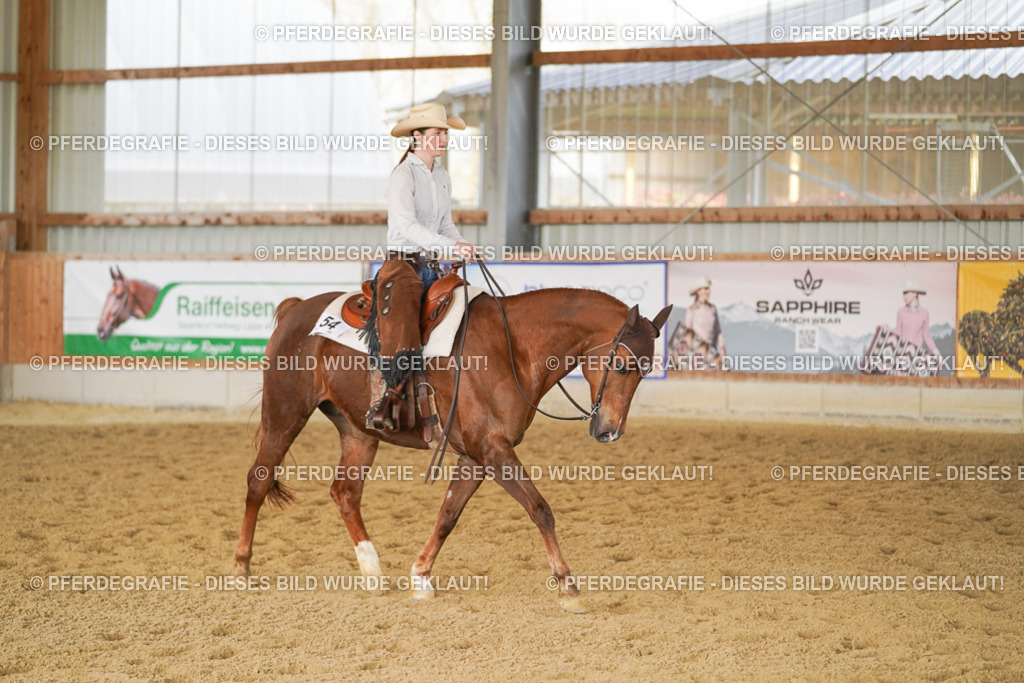 DSC01327 | Pferdegrafie