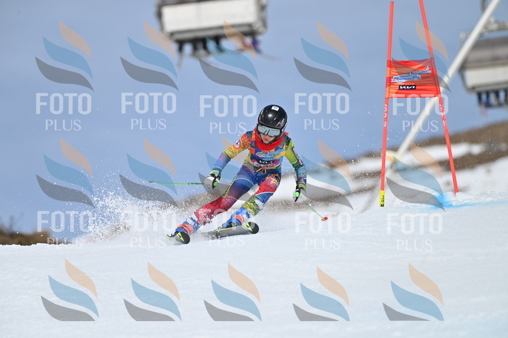 BGV_1363 | holidayphoto