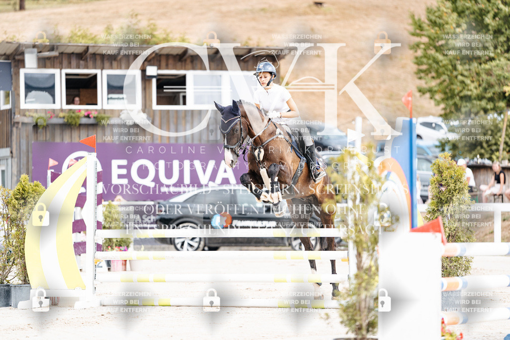 CK908896 | Turnierfotografie Pferdefotografie Trier Rheinland-Pfalz Pferdesport Reitsport Tierfotografie Sportfotografie Pferdevideo Pferdevideografie Equestrianvideography equestrianphotography  - Realisiert mit Pictrs.com