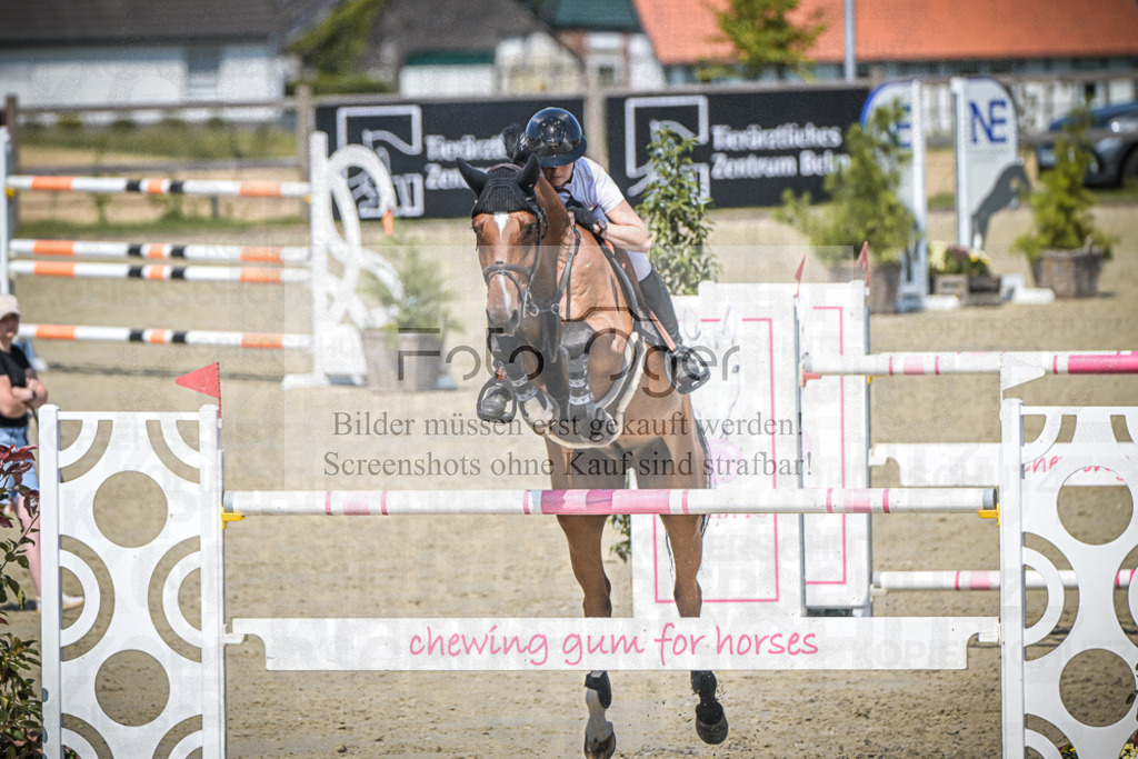 DOS_2415 | Entdecke hochwertige Reitturnierfotos von Foto Oger. Professionell, emotional und authentisch – jetzt Lieblingsmomente im Shop bestellen.Deutschlandweite Turnierfotografie. - Realisiert mit Pictrs.com