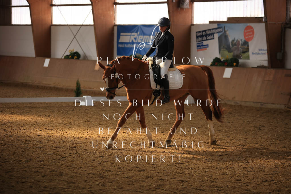 IMGT8113 | pl-fotografie