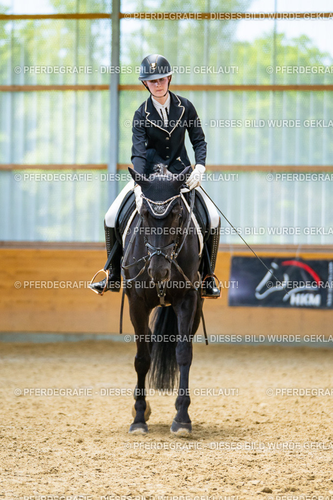 DSC09405 | Pferdegrafie