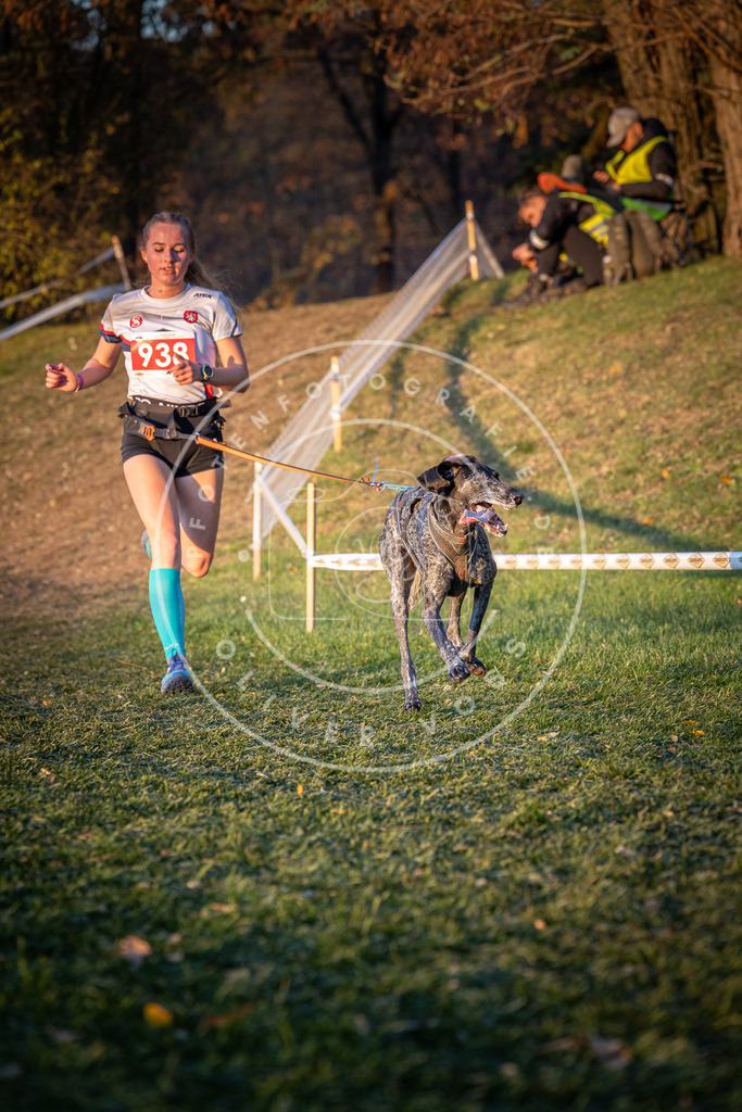 CaniXpix_0L8A1830 | Hundefotografie, Tierfotograf, Pfotenfotografie, Fotoshooting Hund, Hunde Portrait, Hundesport, Hundeportraits, Heideshooting, Hunde, Sportfotograf, Hundefotograf, Turnierhundsport, THS,  - Realisiert mit Pictrs.com