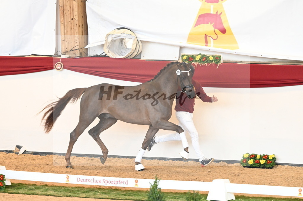 Kat.-Nr. 59 v. Quaterback_Mieleszko-Vekens_2240734 | hf-fotografie - Realisiert mit Pictrs.com