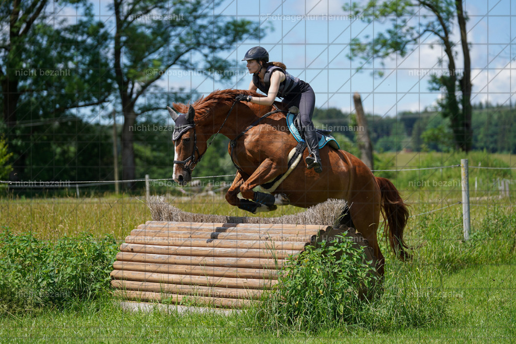 20240622-FAH06870 | Turnierfotografen Bayern, Reitsportbilder aus dem Geländekurs mit Felix Etzel auf dem Gut Waitzacker 2024